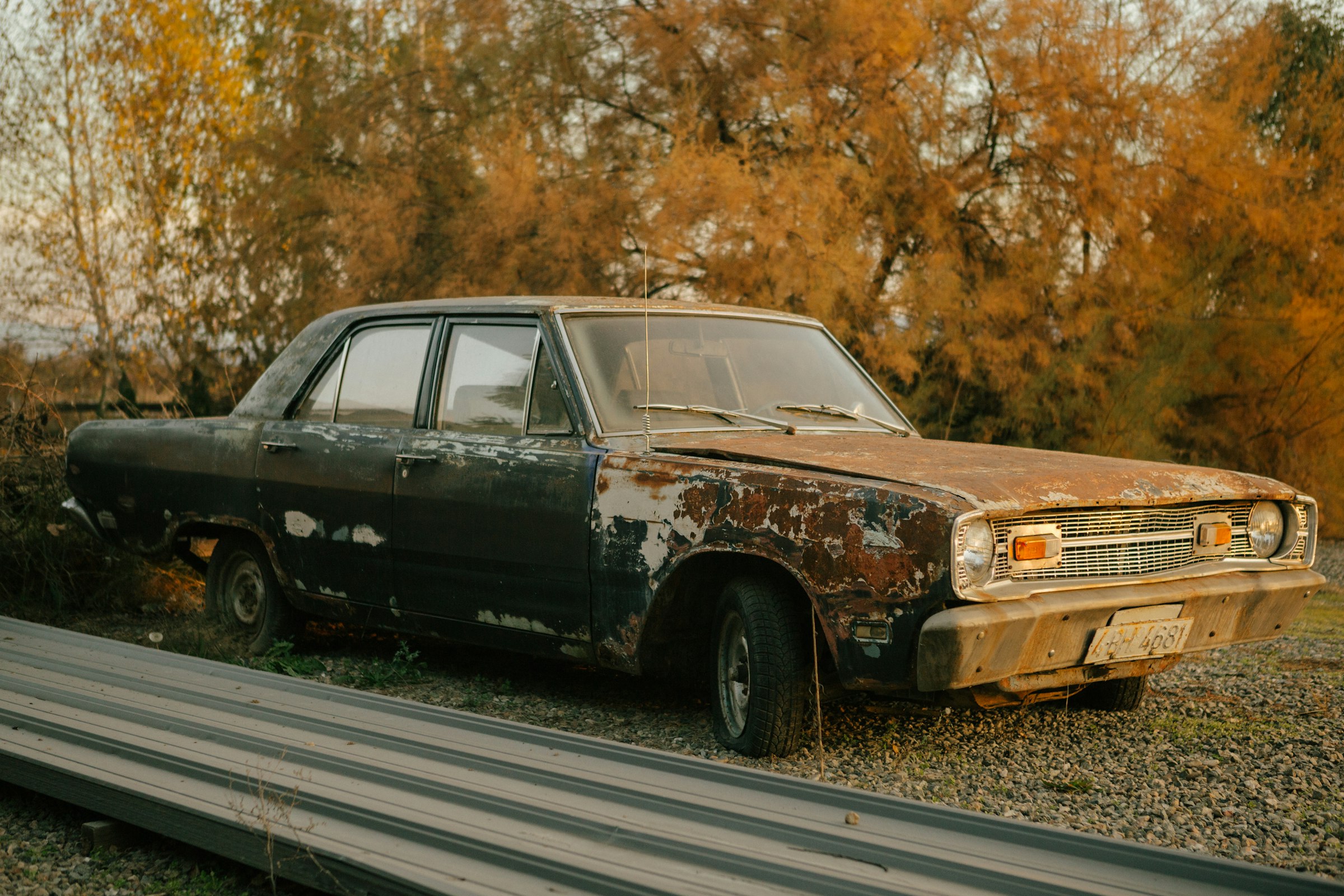 A rusted, abandoned sedan beside autumn trees